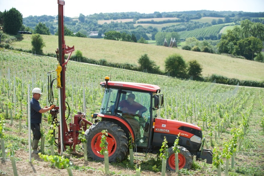 Vineposts by Hadley Group