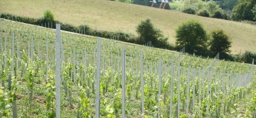 Metal vineyard posts